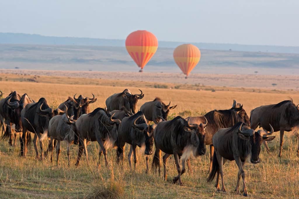 Adventure Tour with Iconic Landscapes & Big 5 Safari (9 Days)
