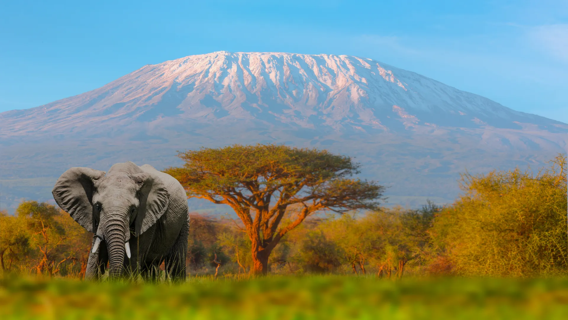 Kilimanjaro Climb – Machame Route (7 Days)