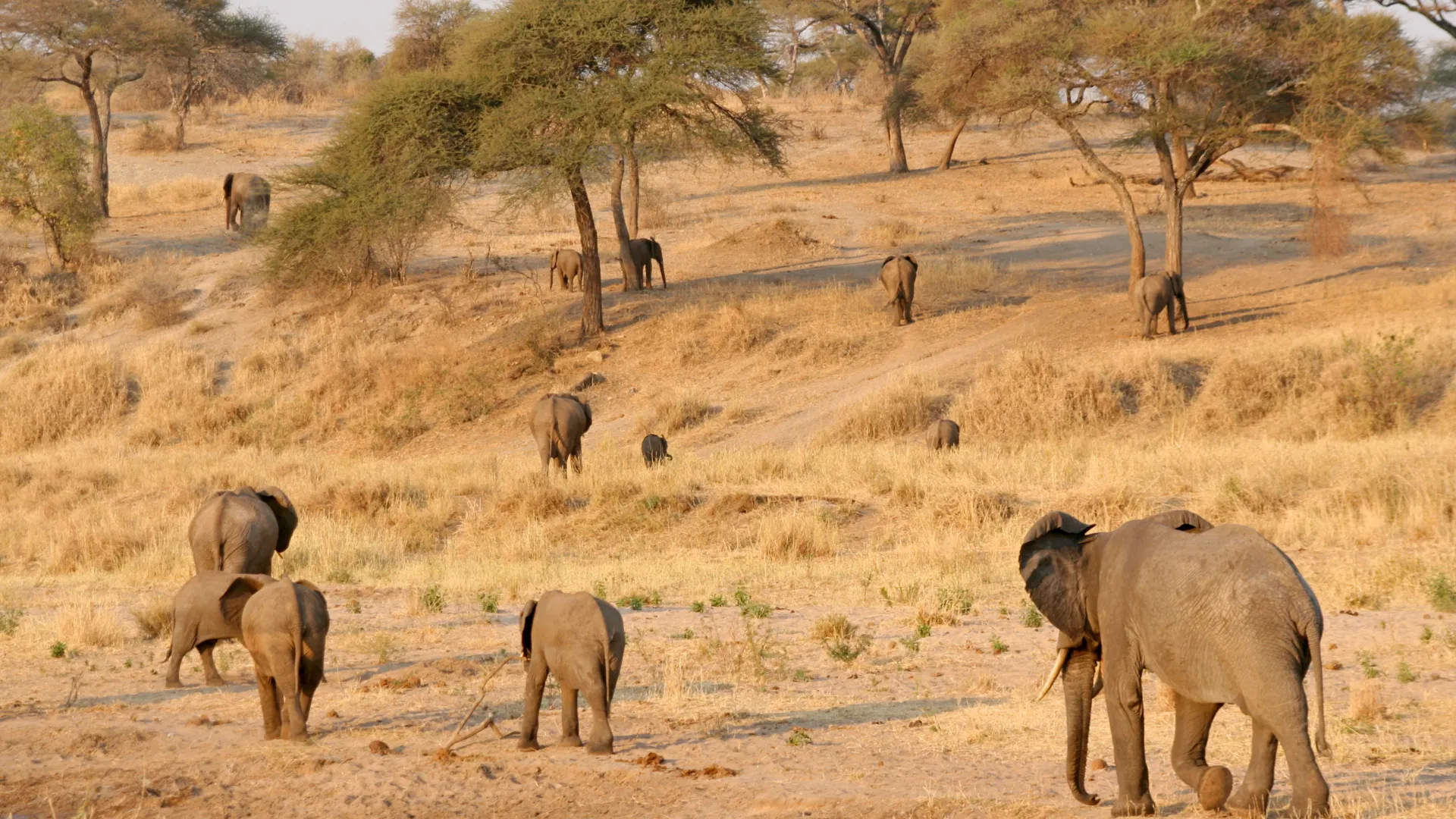 The Ultimate Self-Drive Through Namibia
