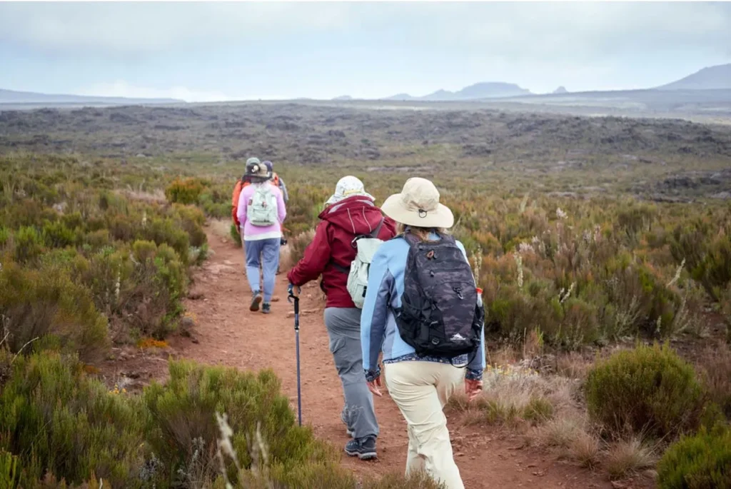 hikers on Lemosho route Mount Kilimanjaro Tanzania