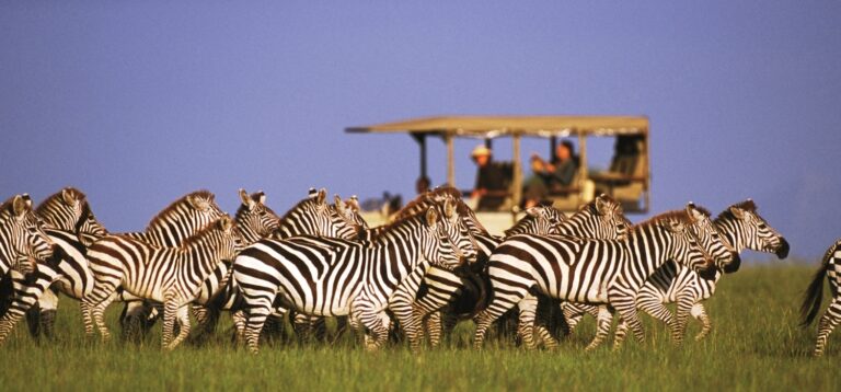 Chobe National Park