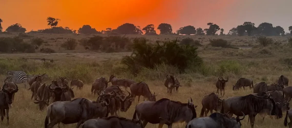 WhatsApp Image 2025-10-09 at 13.35.21_788d9c94_18_11zon