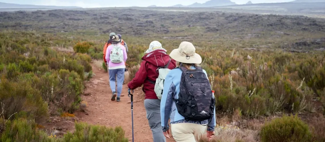 hikers on Lemosho route Mount Kilimanjaro Tanzania